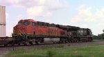NS 219